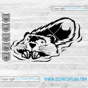 Beaver Swimming svg | Swamp Animal Clipart | Woodland Clipart | Trashy Cat Stencil | Trash Kitten dxf | Zoo Crew Shirt png| Safari Gift Idea