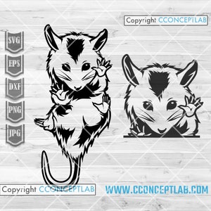 Opposum svg | Clipart de chat de rue | Pochoir souris poubelle | Souris Cutfile | Dxf animal étrange poubelle | Chemise drôle de meme png | Rat des marais d'égout jpg