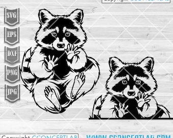 Raccoon svg | Peeking Animal Clipart | Cute Trash Panda Cutfile | Funny Street Cat Stencil | Trashy Woodland dxf | Rave Party Shirt png jpeg