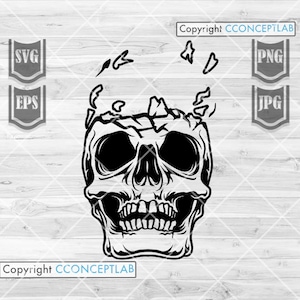 Skull Broken Head svg | Broken Human Skull svg | Broken Skull Clipart | Skull Cutfile | Skull Stencil | Broken Skull svg | Human Skull png