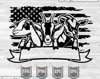 Pecore Da Colorare - Disegni Per Bambini Da Stampare - Foto 11