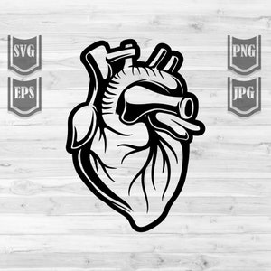 Hear Illustration svg | Heart Organ Clipart | Human Heart Donor Cut File | Internal Organs Stencil | Heart Valve dxf | Love Shirt Design png