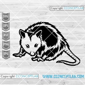 Opossum svg Mouse Clipart Mice Stencil Rat Cutfile Wild Animal dxf Trash Cat jpeg Trashy Rats Shirt png Woodland Swamp Rat jpg image 1