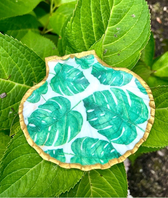 Seashell Jewelry / Trinket Dish - Reiki Healing Decor, Monstera Leaf Magic