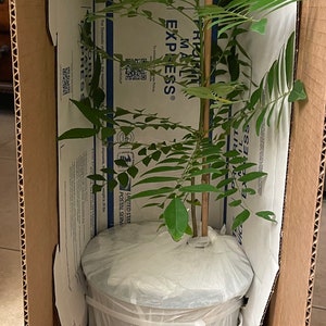 A sample of shipment