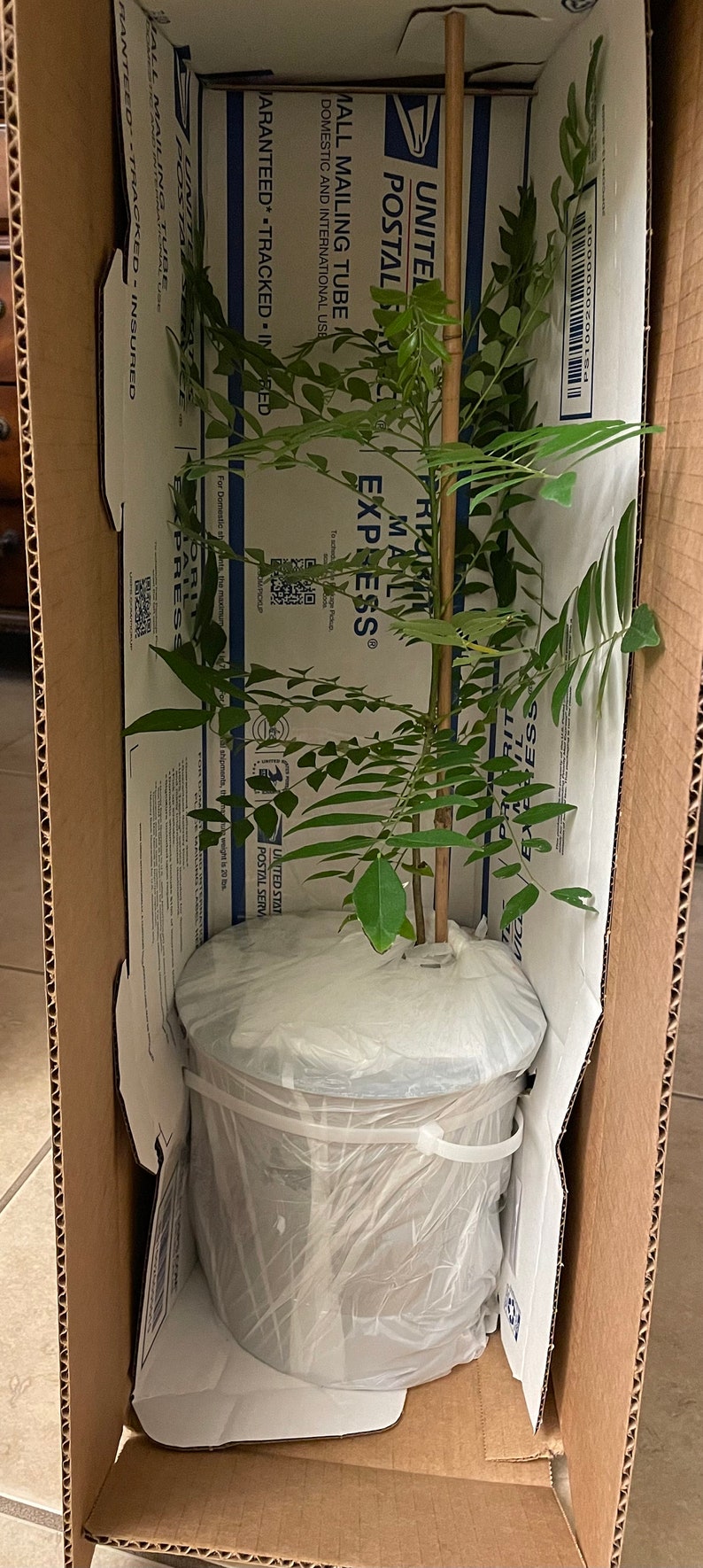 A sample of shipment