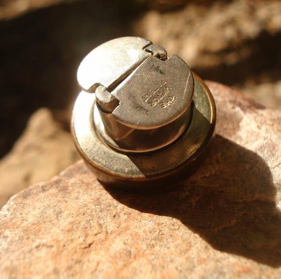Edwardian, English Pointer Dog, Pointing, Decisiv… - image 6