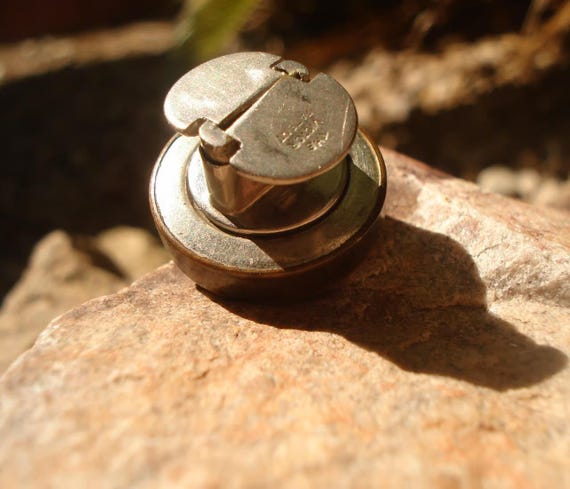 Edwardian, English Pointer Dog, Pointing, Decisiv… - image 5