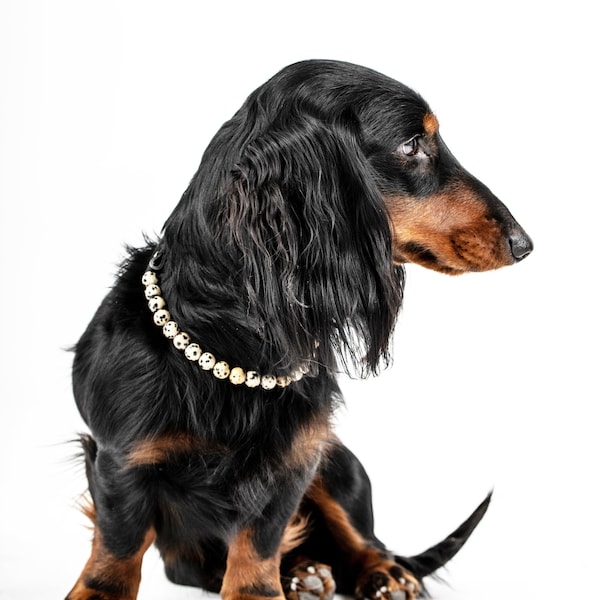 Collier JOIE pour chien Triste en Jaspe dalmatien -Bien-être chien,pierre semi-précieuse, idée cadeau chien anniversaire Noël, lithothérapie