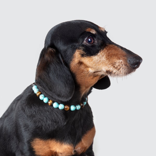 Collier CHIEN Détente & protection Turquoise œil de tigre Bien-être chien pierre semi-précieuse cadeau chien anniversaire noel lithothérapie