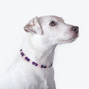 Collar Helps to evacuate trauma Amethyst – Rose Quartz