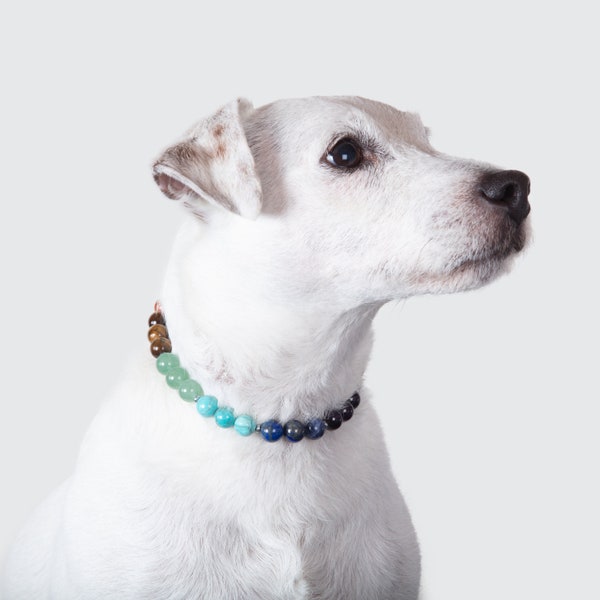 Collier ÉQUILIBRANT 7 chakras pour chien - Pierres véritables naturelles - Bien-être chien, pierre, chien anniversaire Noël, lithothérapie