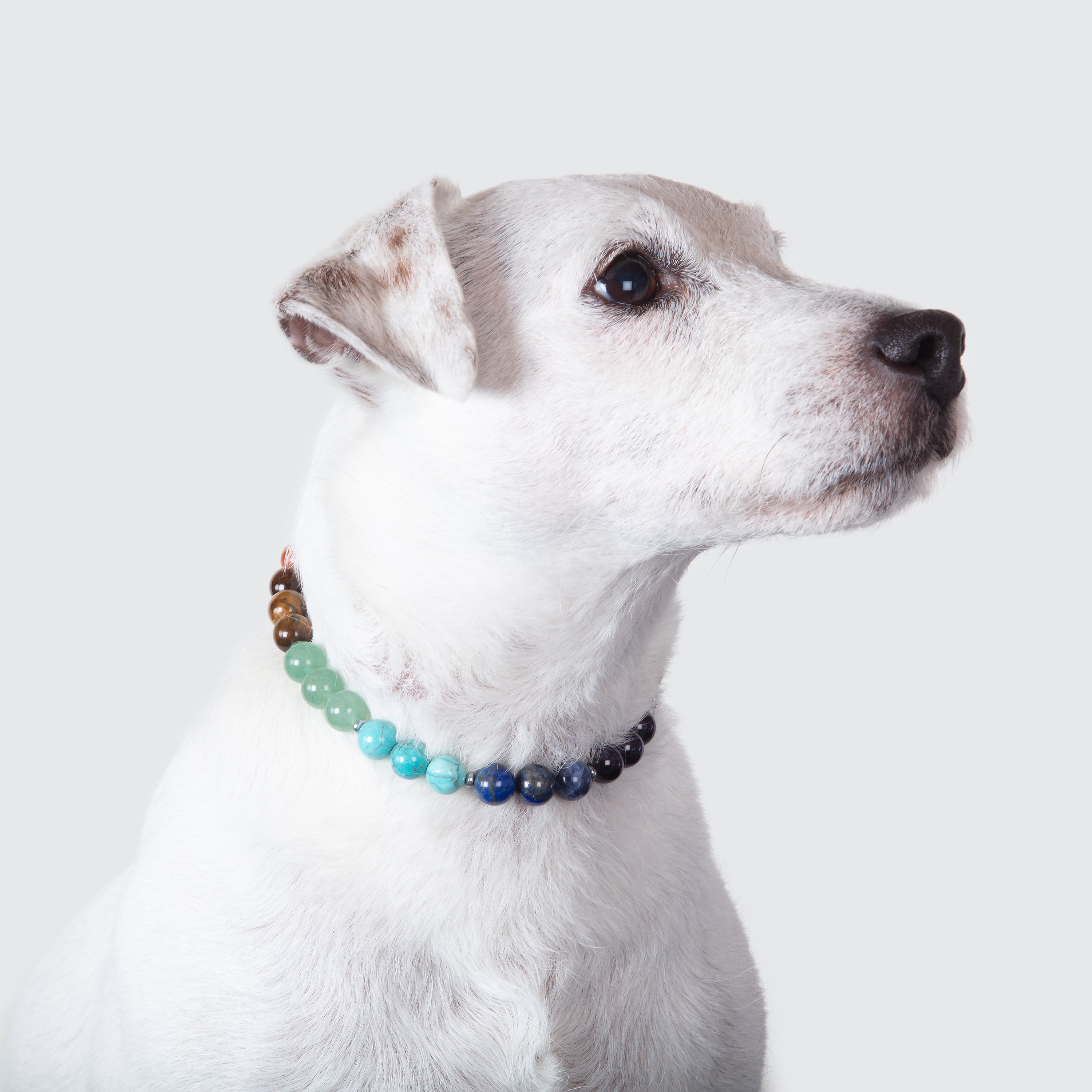 Braccialetto 7 Chakra Con Zampa D'argento – Perline In Pietra Naturale Per Amanti Dei Cani, Nodo Regolabile - 2