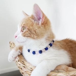 May include: A white and orange tabby cat wearing a blue and pink beaded collar. The cat is sitting in a wicker basket and looking to the left.