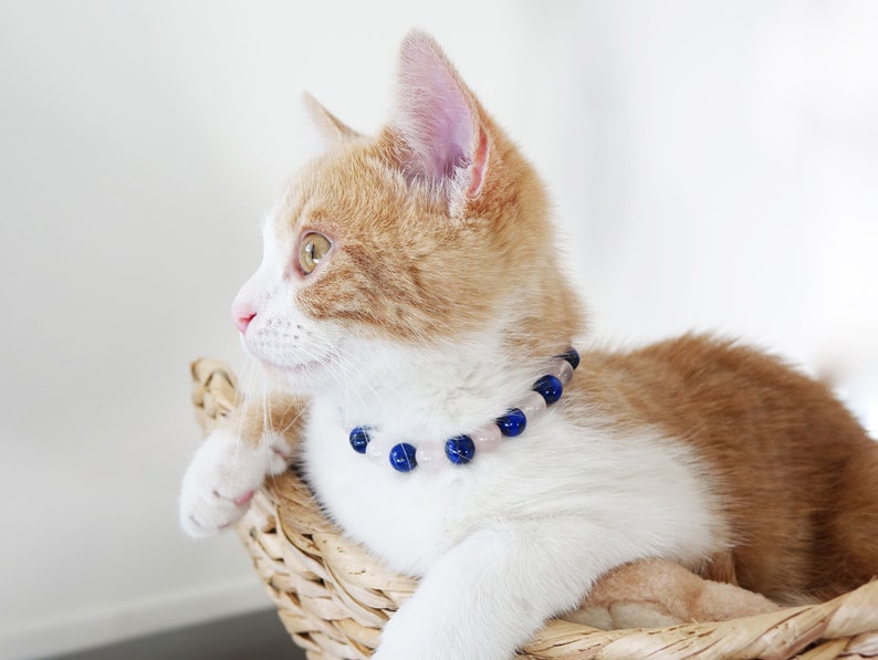 May include: A white and orange tabby cat wearing a blue and pink beaded collar. The cat is sitting in a wicker basket and looking to the left.