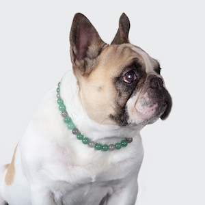 Lithotherapy Collar for dog, Anti-anxiety collar & fear of abandonment Aventurine and labradorite