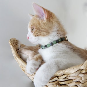 Necklace for cats stressed by changes, fine semi-precious stones aventurine and labradorite cat well-being cat lithotherapy