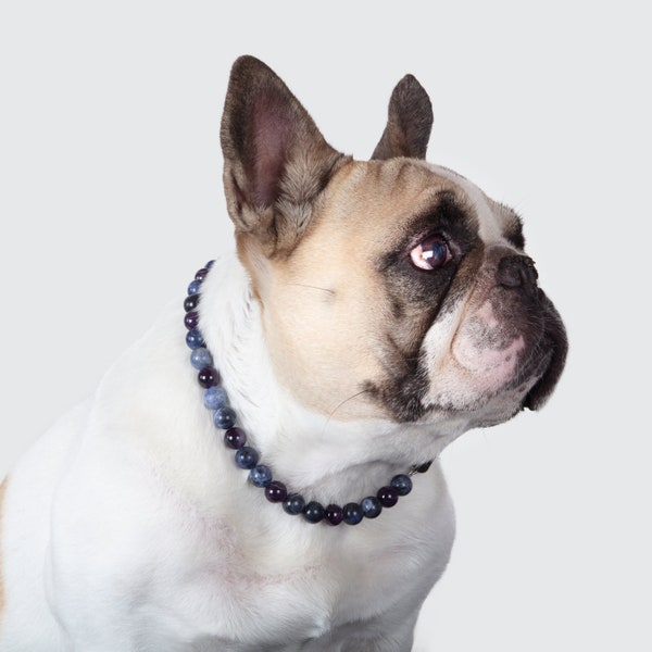 Collier ANTI-PEUR / ANXIETE chien - Sodalite et Améthyste, Bien-être chien, collier lithothérapie chien, pierre semi-précieuse, cadeau chien