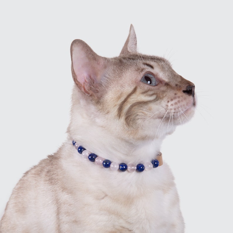 May include: A white and brown tabby cat wearing a blue and pink beaded collar. The cat is looking to the right of the frame.