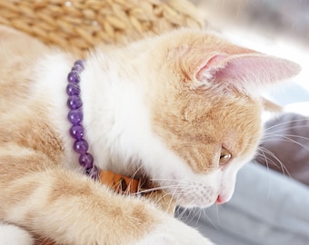 Collar for cat manifesting itself at night or early in the morning, semi-precious stones Amethyst well-being cat lithotherapy cat