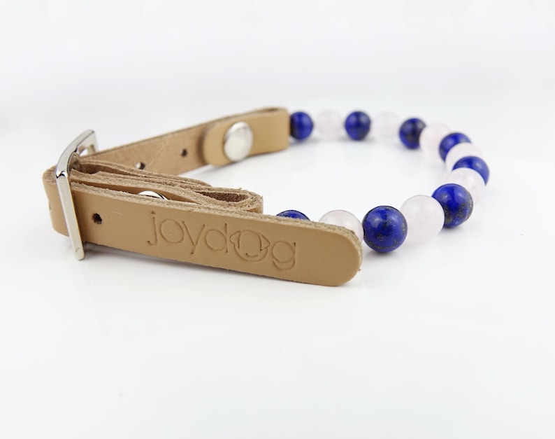 May include: A tan leather dog collar with a silver buckle and a row of blue and pink gemstone beads. The collar is branded with the text "joydog".