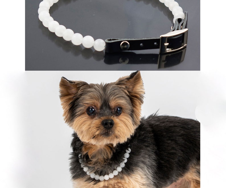lithotherapy Christmas birthday dog gift idea White jade dog sociability necklace Dog welfare semi-precious stone