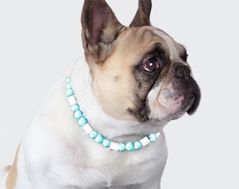 Collar anti tick and fleas with turquoise - lithotherapy for dogs