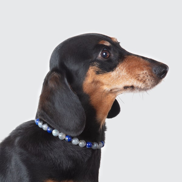 Collier JOIE ET VITALITÉ- Labradorite et lapis lazuli, Bien-être chien, collier lithothérapie , pierre semi-précieuse, cadeau chien