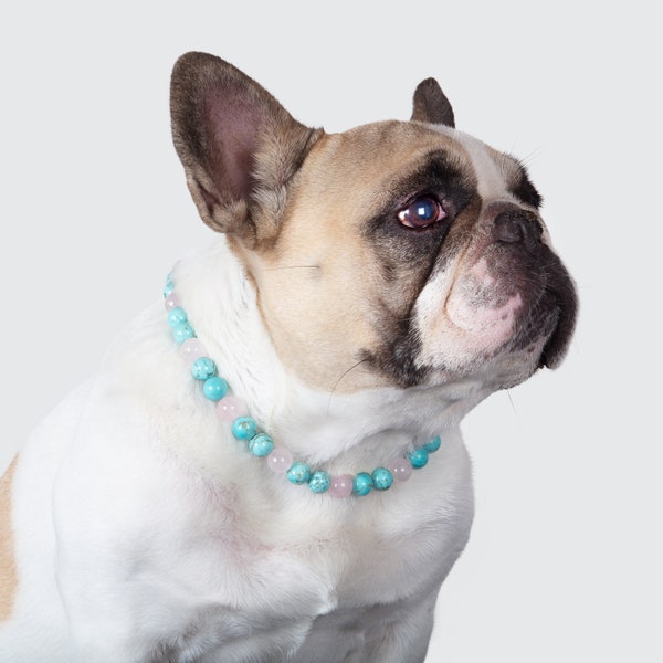 Lithotherapy Collar for hypersensitive dog, Turquoise et rose quartz