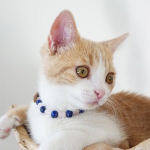 May include: A white and orange tabby kitten wearing a blue and pink beaded collar. The kitten is looking to the right of the frame.