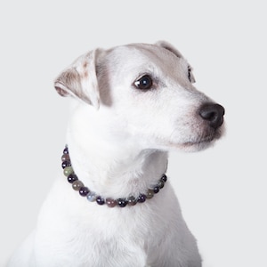 Lithotherapie-Halskette für gestresste Hunde aus Amethyst und Achat, Hundewohlbefinden, Halbedelstein