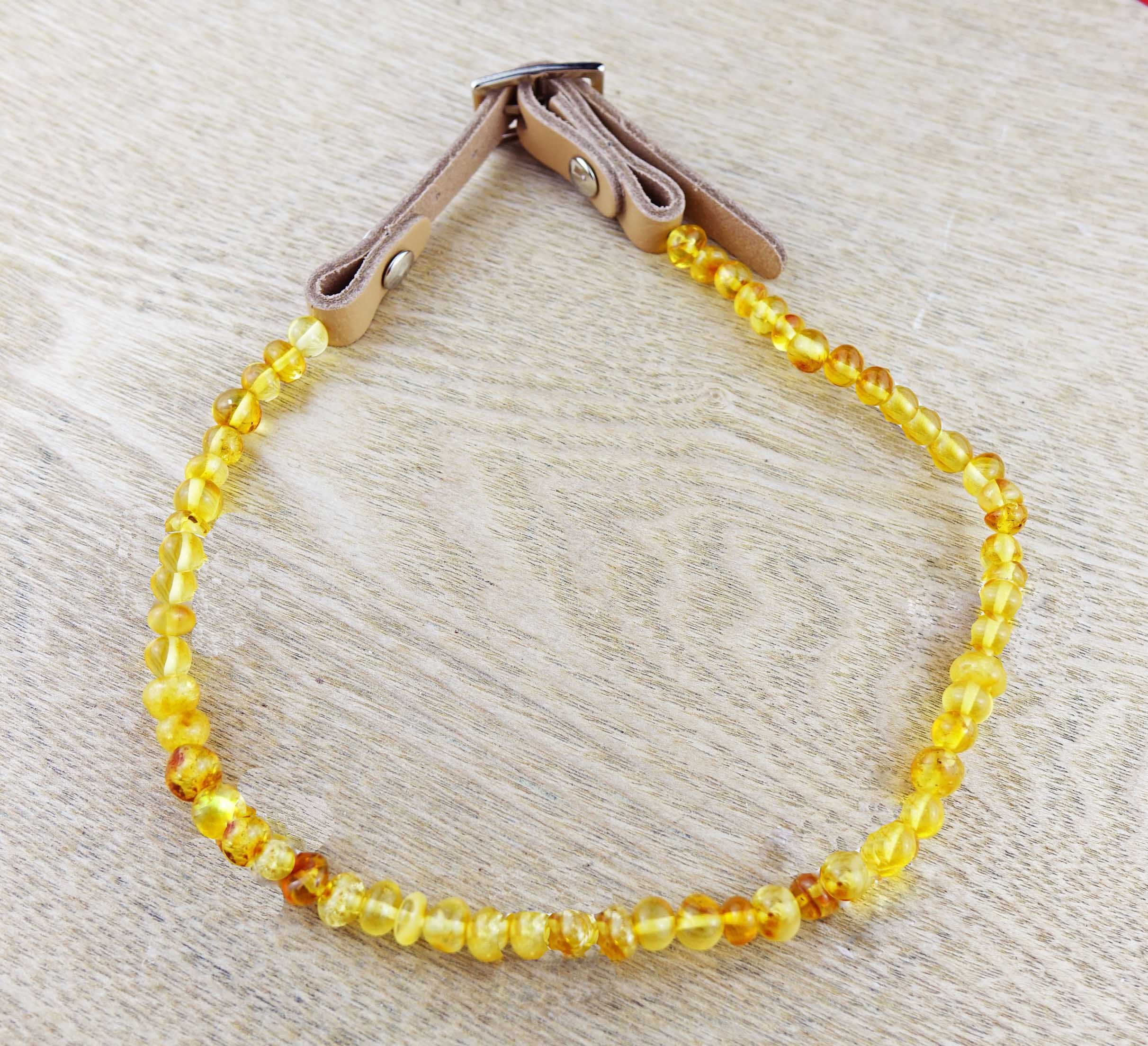 amber collar for ticks