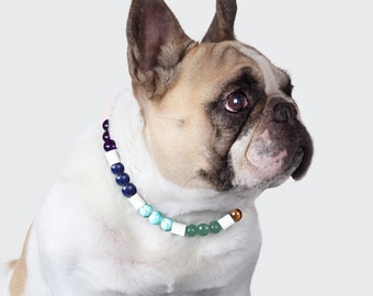 Collar anti-ticks ans for general rebalancing for dogs - lithotherapy for pets