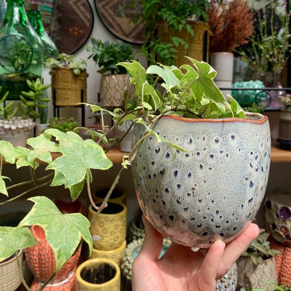 Planteur en céramique/ pot de plantes - inspiré par les tons et les textures de la forêt