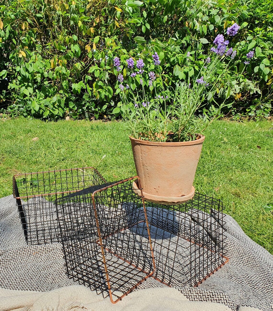 Woven wire baskets for plants or storage with copper top Etsy