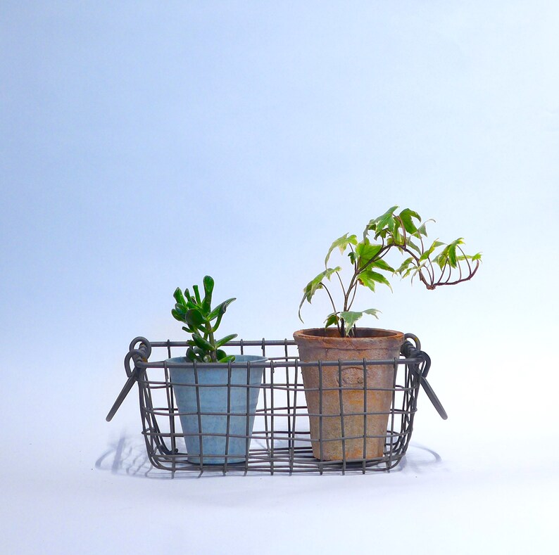 Thick Woven Wire Baskets for Plants or Storage Etsy