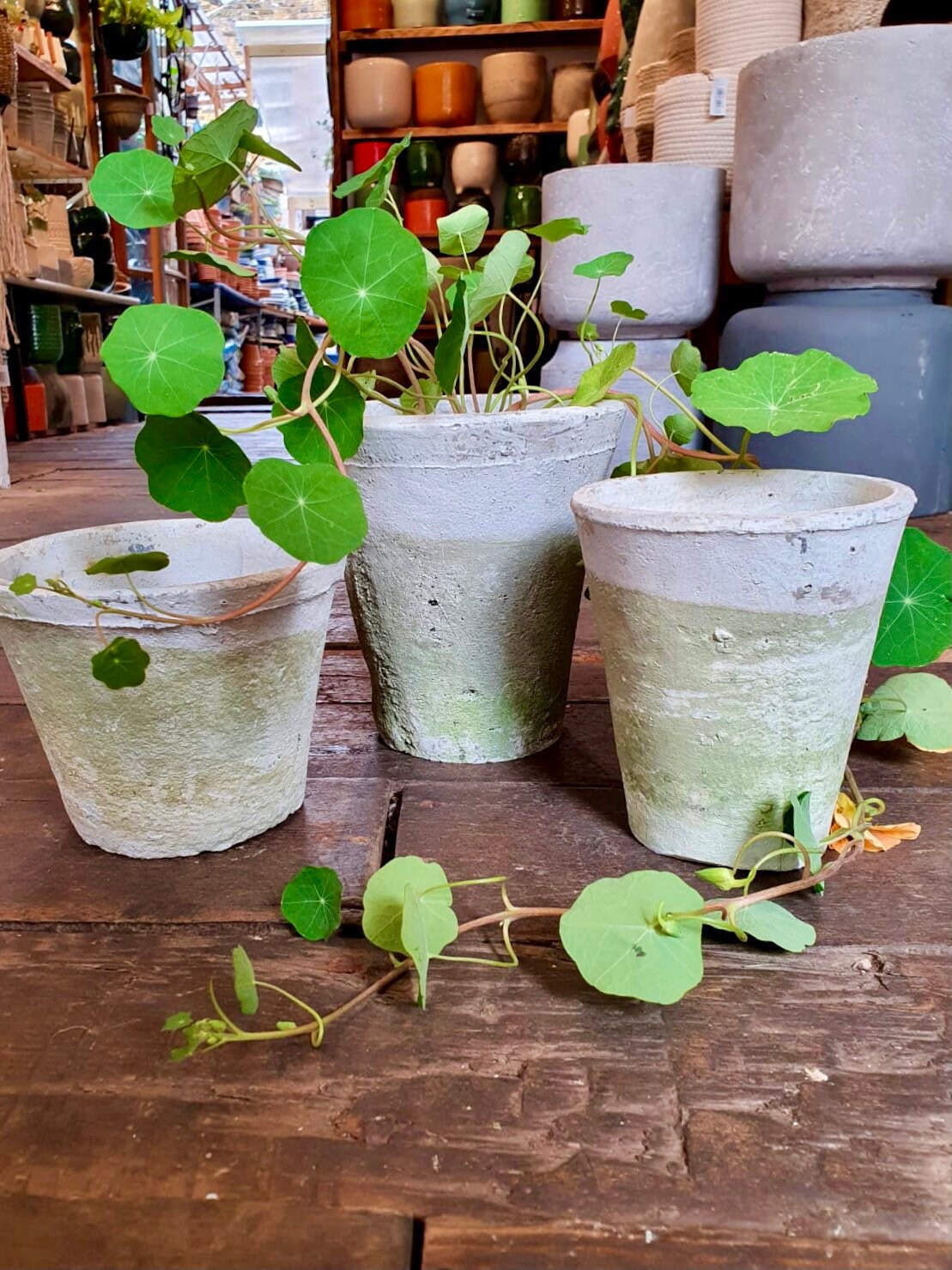 Handmade aged terracotta plant pot / planters and trays - available i…