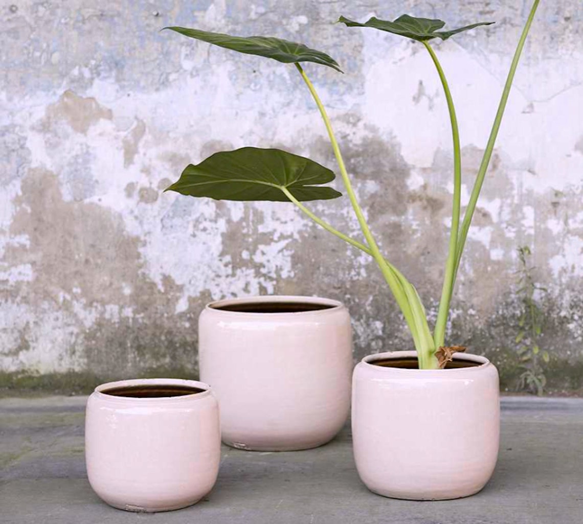 Pale blush pink ceramic plant pot / planter Etsy