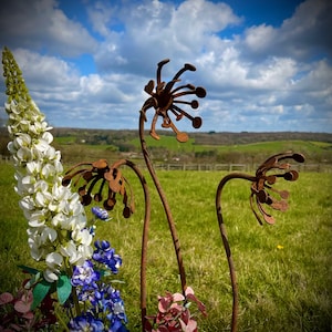 Exterior Rustic Rusty Metal Allium Parsley Cow Parsley Flower Flowers Garden Art Garden Stake Yard Art Sculpture Spring Gift Present