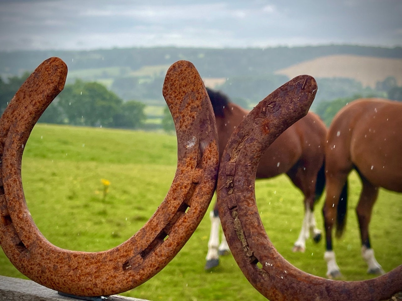 Subculture 　HORSE SHOE GOODLUCK Subculture HORSE SHOE GOODLUCK NEON GOOD LUCK HORSE SHOE