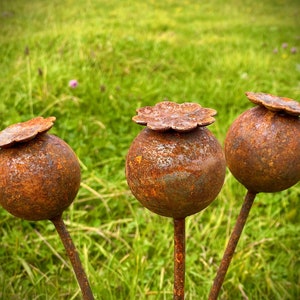 Exterior Rustic Rusty Metal Poppy Head Seed Poppies Flower Garden Art Garden Stake Yard Art Sculpture Spring Gift   Present