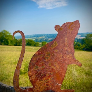 Kleine rustikale rostige Metallratte für den Außenbereich, Rustikal, Ratty, Ratte, Rustikal, Rustikal, Gartentür