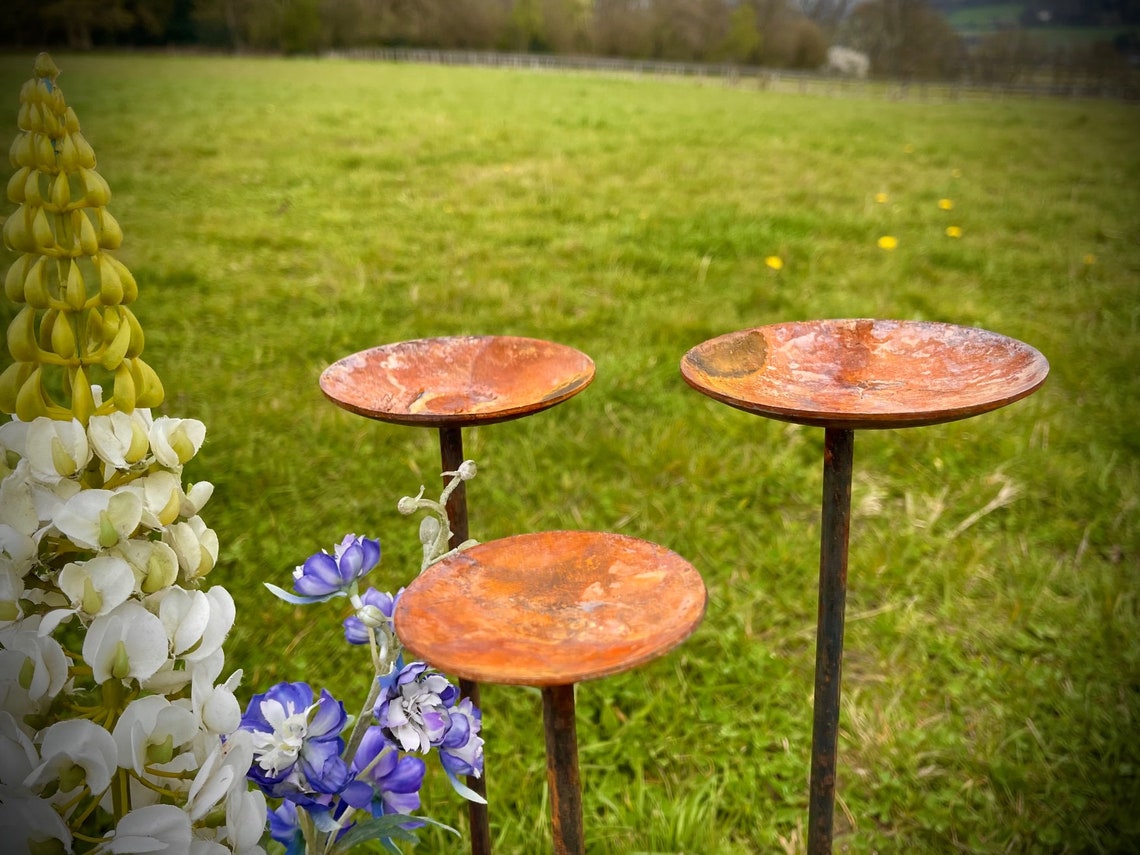 Exterior Rustic Rusty Metal Bird Feeder Rain Dish Bird Bath Etsy