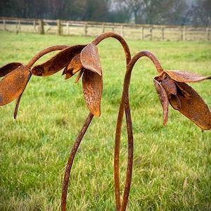 Exterior Rustic Rusty Metal Snowdrops Flower Garden Art Garden Stake Yard Art Sculpture Spring Gift Present image 3