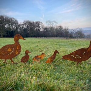 May include: A family of five rusty metal ducks, two large ducks and three smaller ducklings, standing on a grassy field.