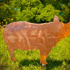 Small Exterior Rustic Rusty Metal Pig Piggie Snout Farm Animal Art Sculpture Gift Present