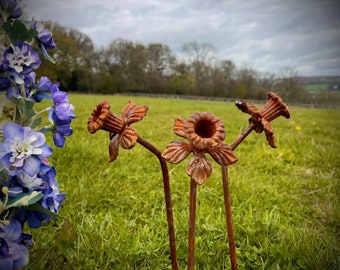 Narcisos de metal rústico oxidado para exteriores, flores de Gales, arte de jardín galés, estaca de jardín, escultura de arte de patio, regalo de primavera