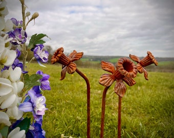 Exterior Rustic Rusty Metal Daffodill Daffodills Flower Garden Art Garden Stake Yard Art Sculpture Spring Gift Present