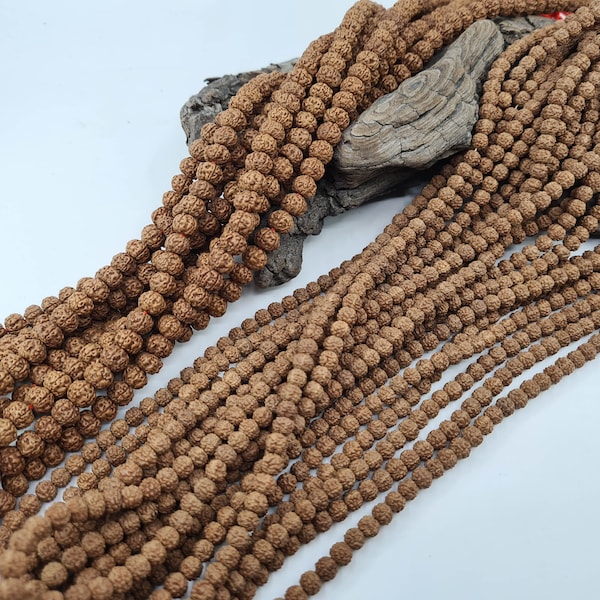 Rudraksha beads, Shiva seeds, Bodhi, natural seed beads, caliber 6 and 8 mm for jewelry making, Mala, necklace