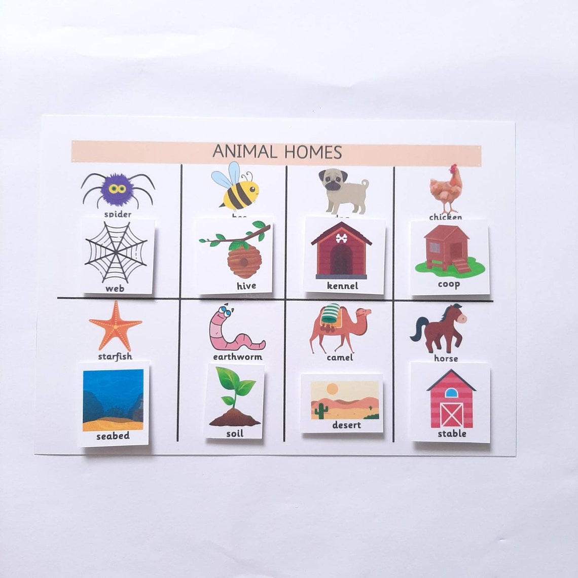 DIGITAL Animals & their homes busy binder preschool busy Etsy